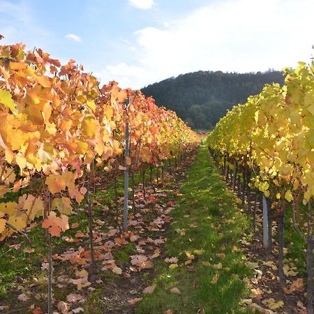 Ferienweingut Gansen / Hochgenuss 1 Apartment Ернст Екстериор снимка