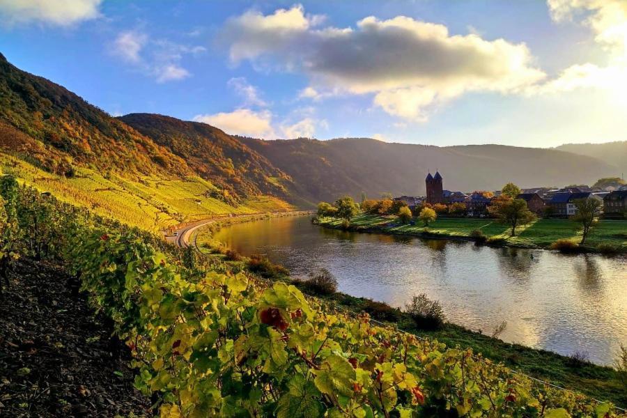 Ferienweingut Gansen / Hochgenuss 1 Apartment Ернст Екстериор снимка