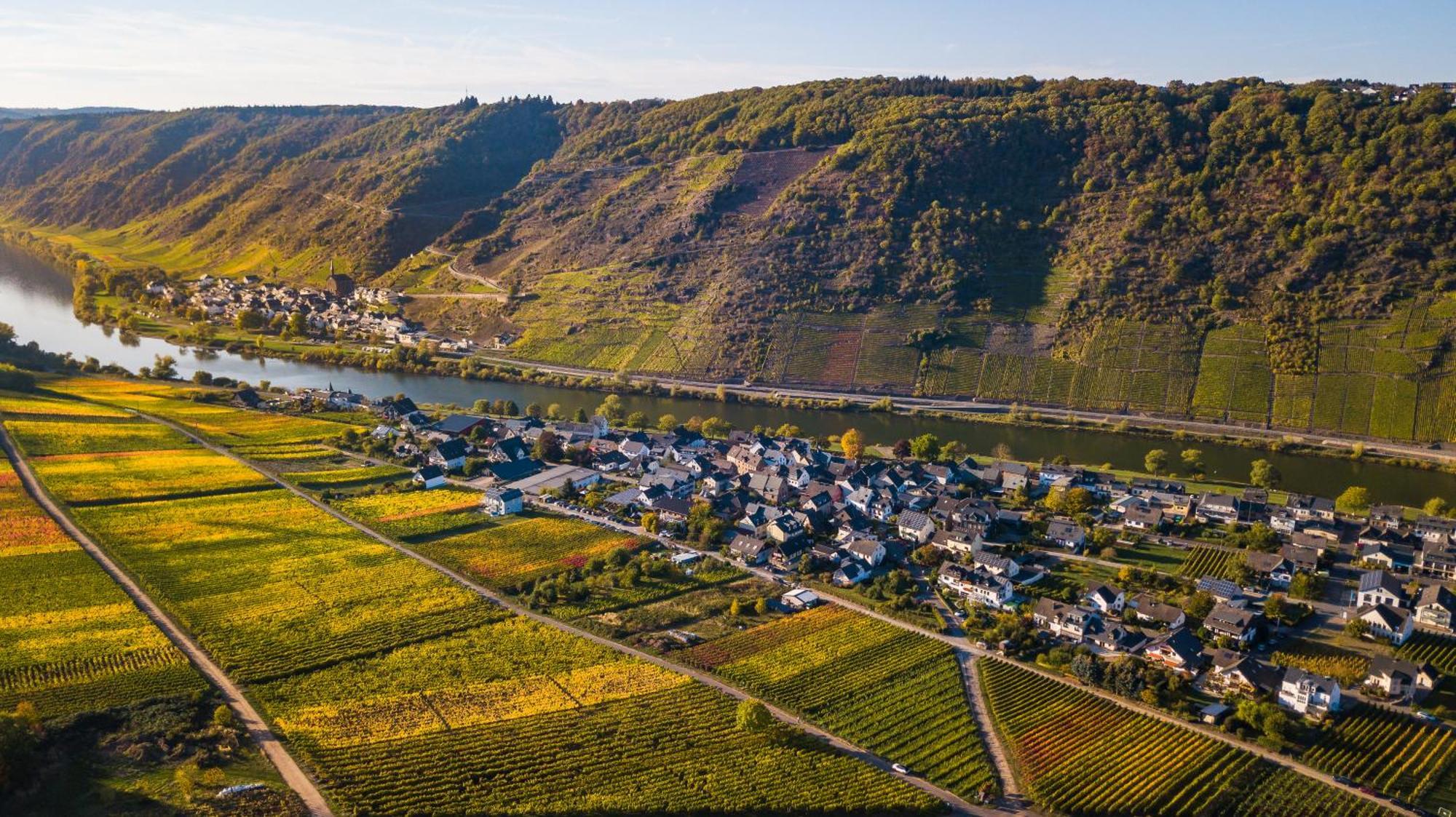 Ferienweingut Gansen / Hochgenuss 1 Apartment Ернст Екстериор снимка